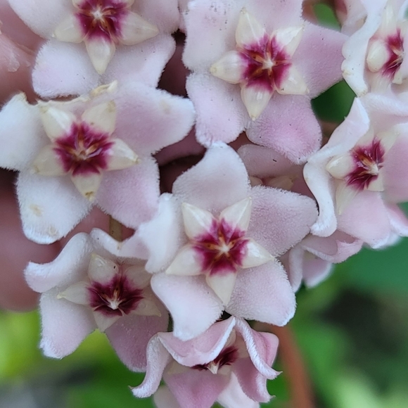 Welcome to the Closet! - Picture 3 of 16